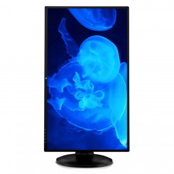 V7 - 27 - Quad HD - ADS - 6 ms - Negro - L27HAS2K-2E