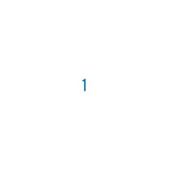 100 ETIQUETAS APLI. IMPRESORA-COPIADORA. 210x297mm. 1281