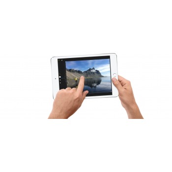 Apple iPad mini 4 - 7,9 pulgadas - 128 GB - Plata MK772TY A