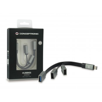 Conceptronic HUBBIES 01G nodo concentrador USB 3.1 (3.1 Gen 2) Type-C 5000 Mbit s Gris 110514407