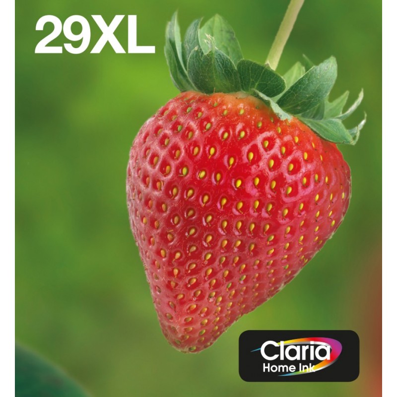 Epson Multipack 4-colours 29XL EasyMail C13T29964511
