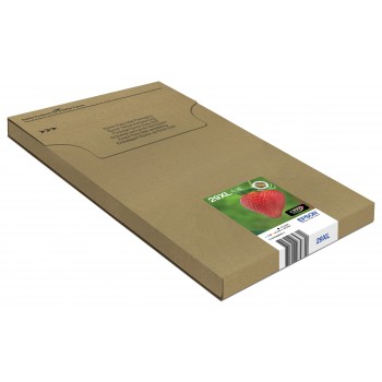 Epson Multipack 4-colours 29XL EasyMail C13T29964511