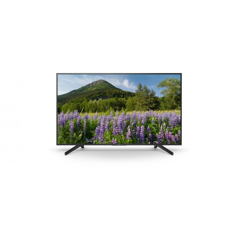 Sony KD-49XF7096 - 48.5 - 4K Ultra HD - Negro - KD49XF7096