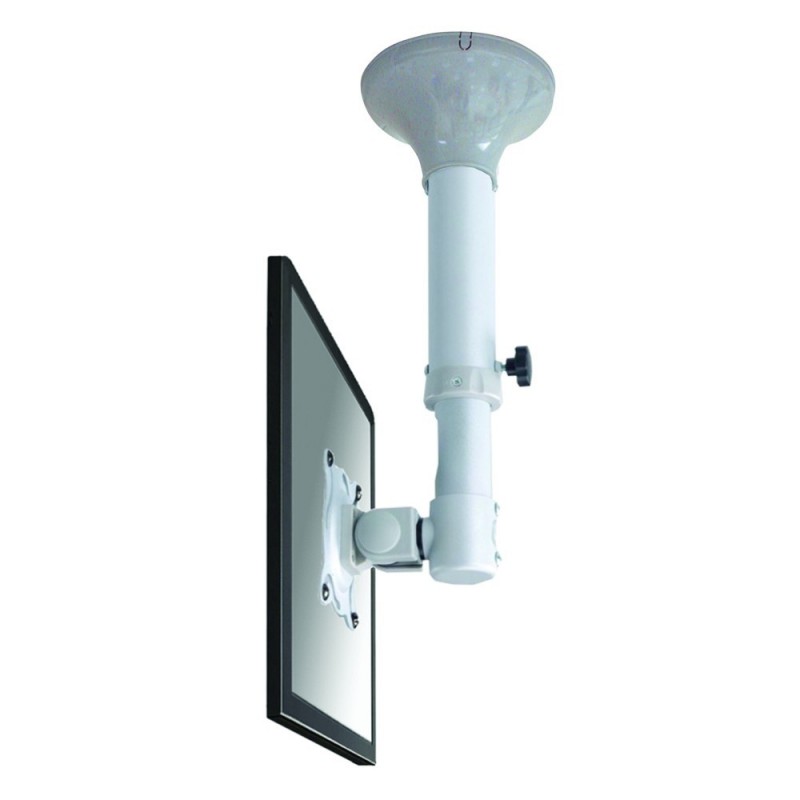 Newstar Soporte de techo para TV monitor FPMA-C025SILVER