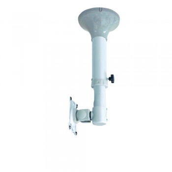 Newstar Soporte de techo para TV monitor FPMA-C025SILVER