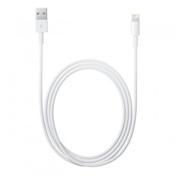 Apple Lightning to USB Cable - Cable de carga   de datos para iPhone   iPod - compuesto de vídeo aud MD818ZM A