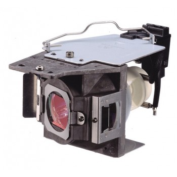 Lamp mod f BENQ W1070+ W1080ST+ W1070+W 5J.J9H05.001