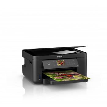 Epson Expression - Color - Duplex - C11CG29402