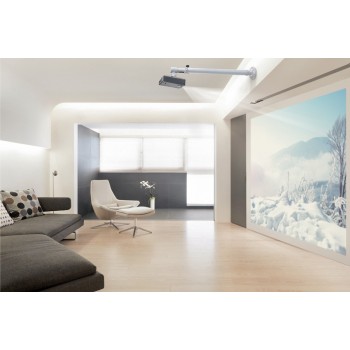 Newstar BEAMER-W100SILVER, Pared, 12 kg, 73 cm, 123 cm, Plata, 360º
