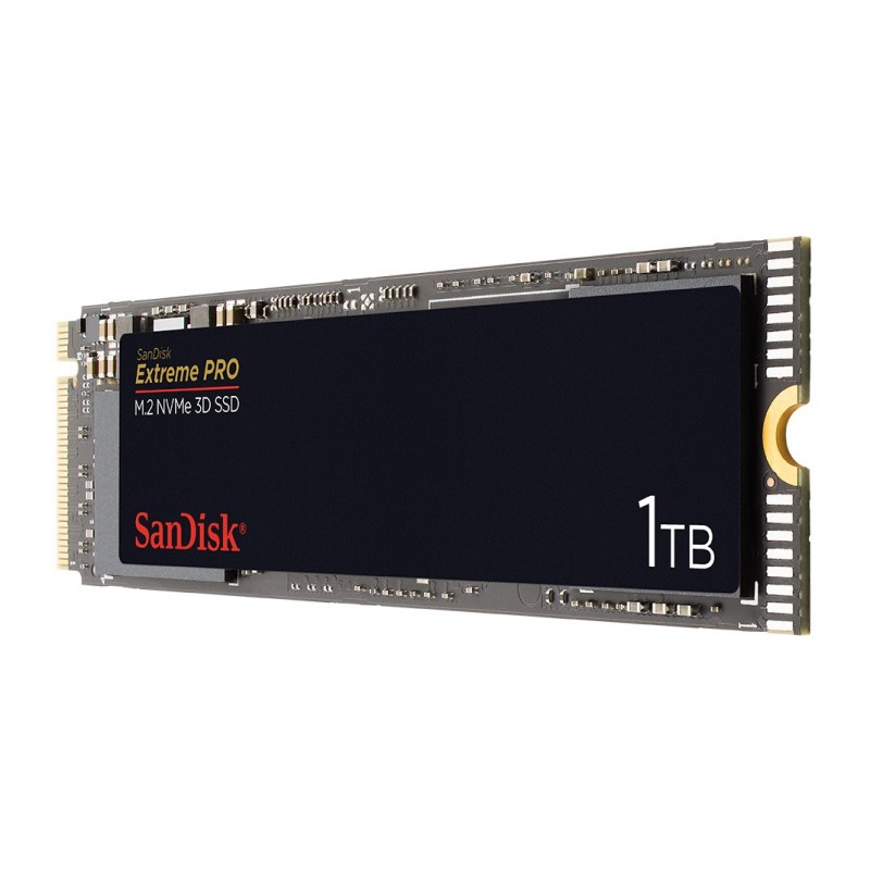 SanDisk 1TB PExpress 3.0 SDSSDXPM2-1T00-G25