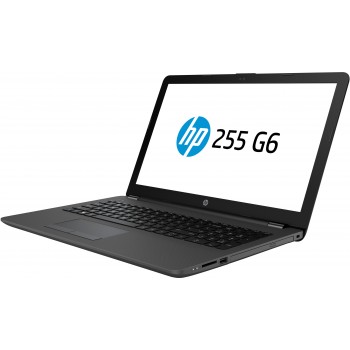 HP Ordenador portátil 255 G6 E2-9000e 15,6 pulgadas 4 GB 500GB Windows 10 Home 1WY13EA