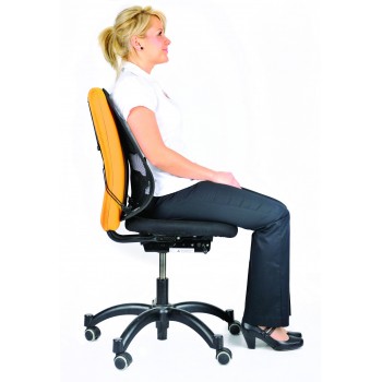 Fellowes 8029901