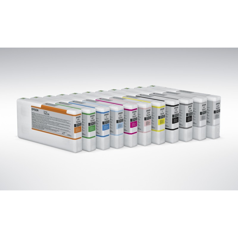 Epson T9139 C11CF66001A1, C11CF66001A0, C11CF66001A2, C11CF66001A3 Negro claro claro C13T913900