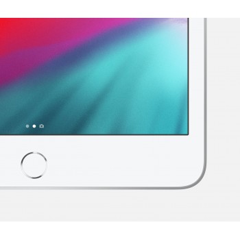 Apple iPad mini 5 - 7.9 pulgadas - 256 GB - WIFI - Plata MUU52TY A