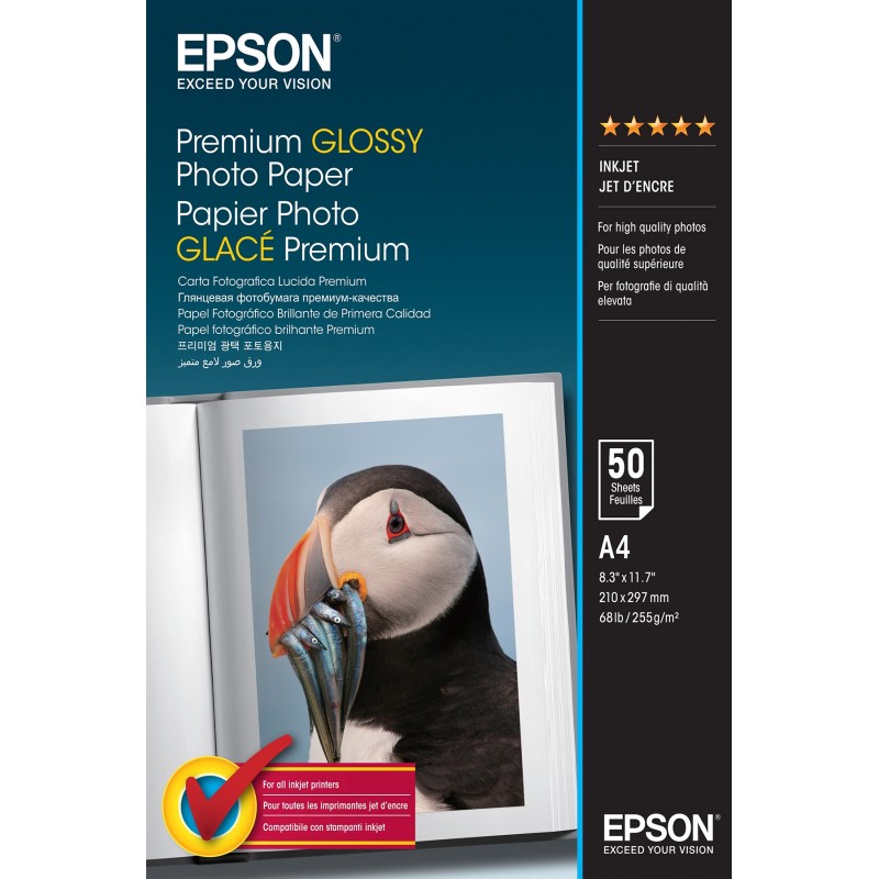 Epson A4 Premium Glossy Photo Paper 50 Sheets, 255 g m², Brillo, 310 x 220 x 17 mm, A4, 850 g C13S041624