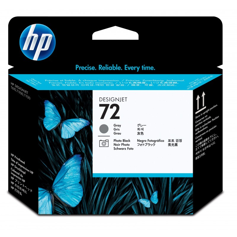 HP 72 - Cabezal de impresión - 1 x gris, Photo Negro C9380A