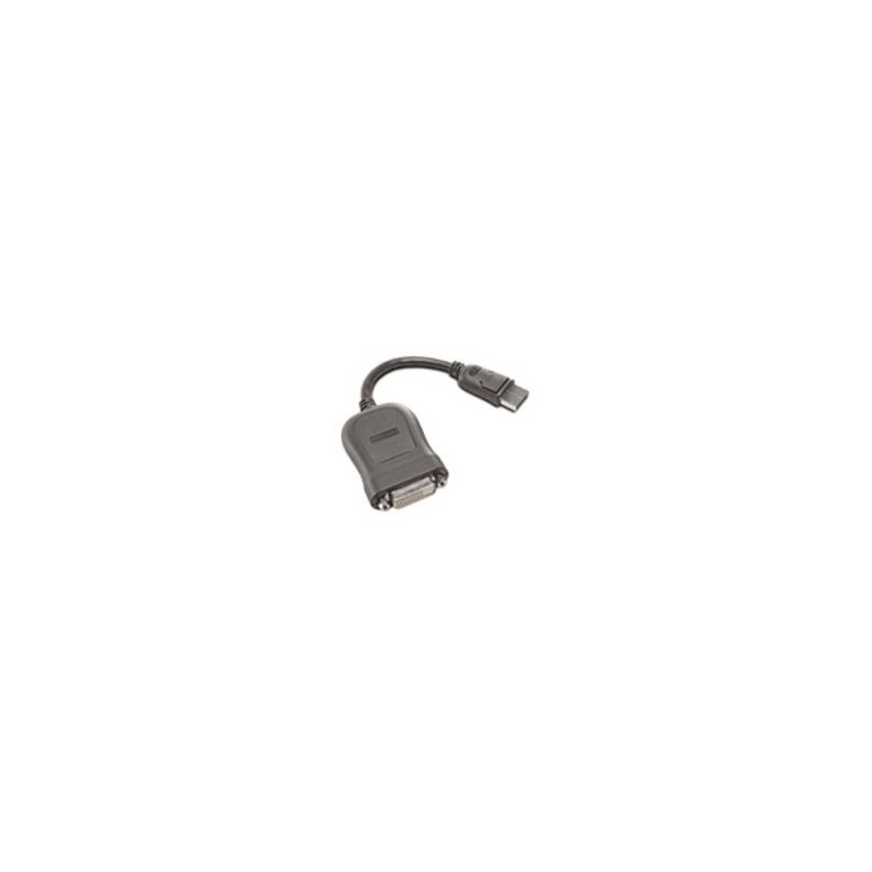 Lenovo 45J7915, DVI-D, DisplayPort, 0,2 m