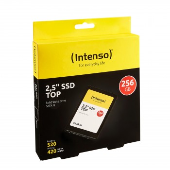 Intenso 256GB SATA III 3812440
