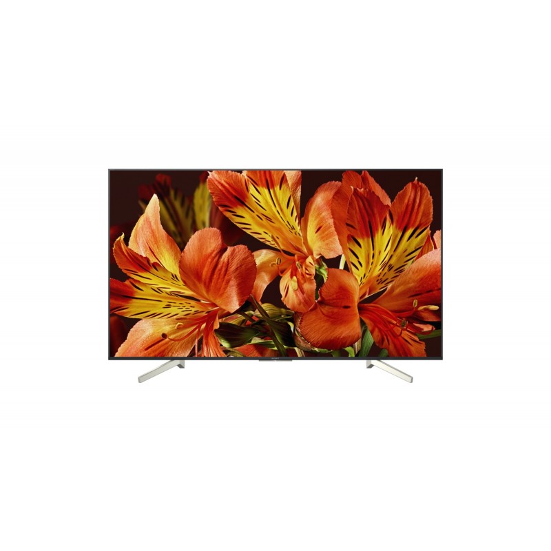 Sony KD55XF8596 - 55 - 4K Ultra HD - LED - Negro - KD55XF8596BAEP