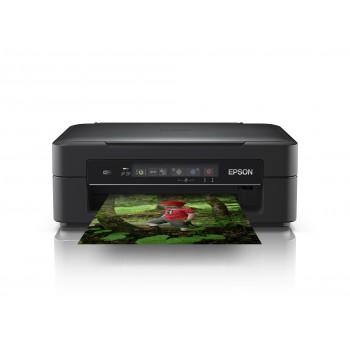 Epson Expression - Color - Duplex - C11CH17403