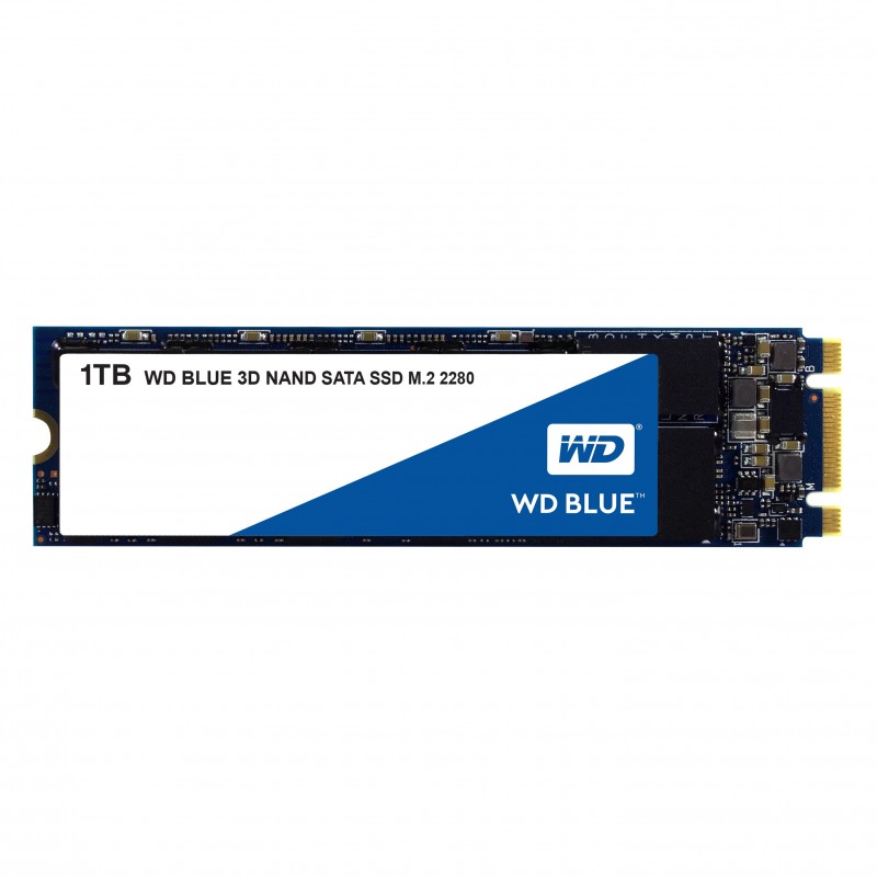 WD 1TB M.2 WDS100T2B0B