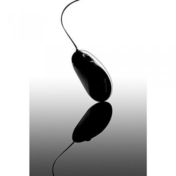 Targus Compact Blue Trace Mouse Óptico AMU75EU
