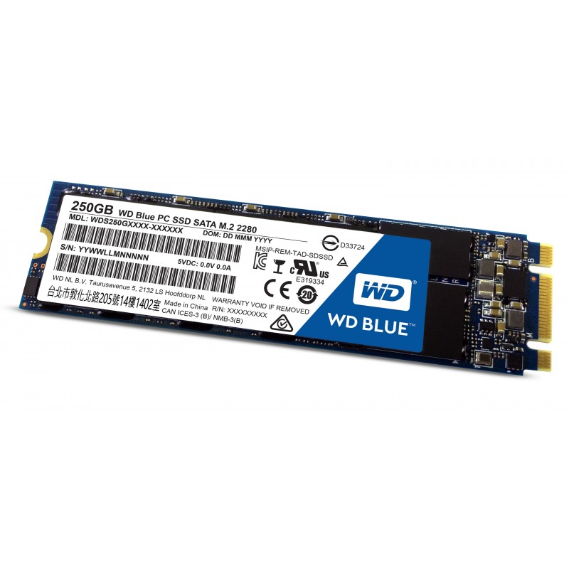 WD 250GB M.2 WDS250G1B0B