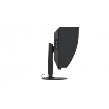 EIZO ColorEdge - 24.1 - Full HD - IPS - 10 ms - Negro - CG2420