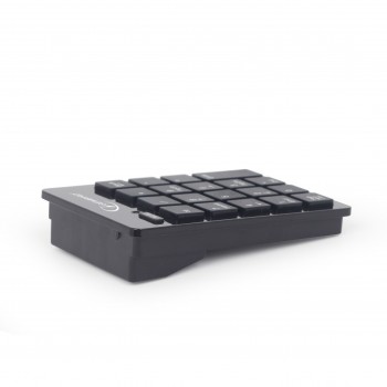 Gembird KPD-W-01, RF inalámbrico, Portátil PC, Negro, Nano, USB, Batería