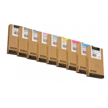 Epson Cartucho T603100 negro foto C13T603100