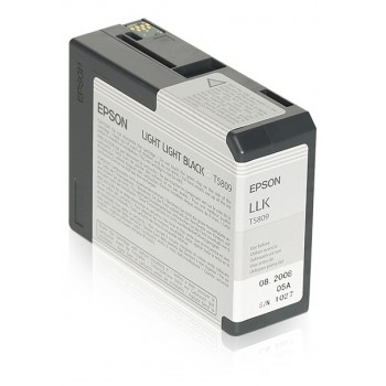 Epson Cartucho Original T580900 gris claro C13T580900