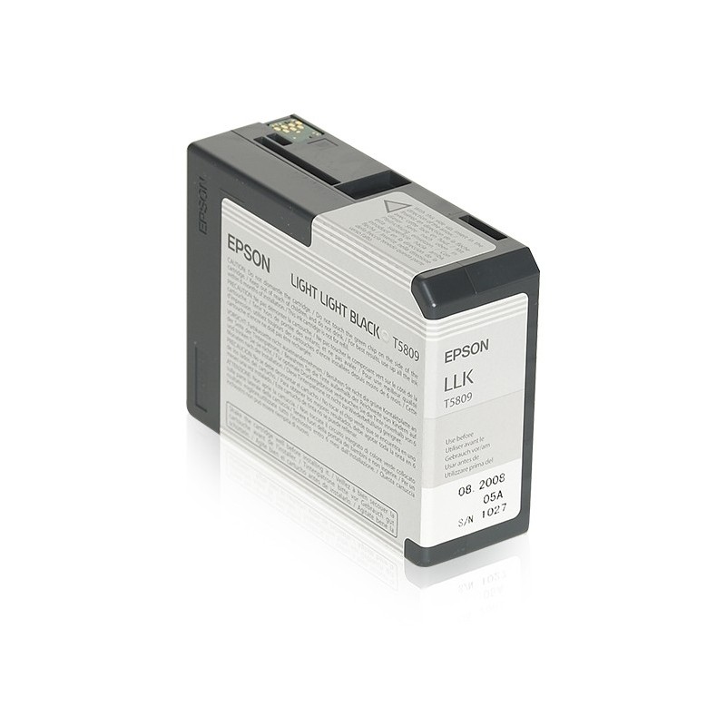 Epson Cartucho Original T580900 gris claro C13T580900