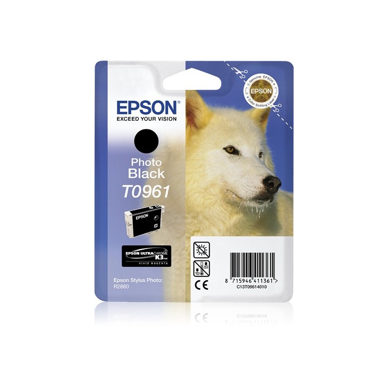 Cartucho Epson T0961 negro foto C13T09614010