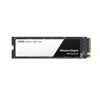 WD 250GB PExpress 3.0 WDS250G2X0C
