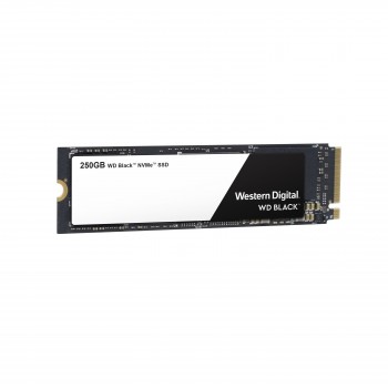 WD 250GB PExpress 3.0 WDS250G2X0C