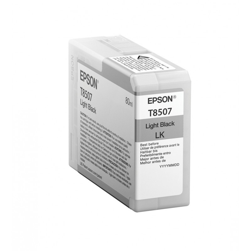 Epson Singlepack Light Black T850700 C13T850700