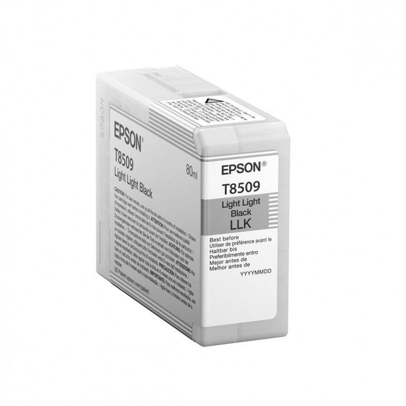 Epson Singlepack Light Light Black T850900 C13T850900