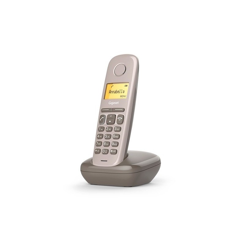 A170 MARRON S30852-H2802-D204