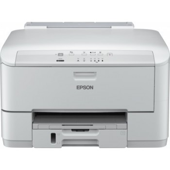 Epson - Monocromo - C11CC78301