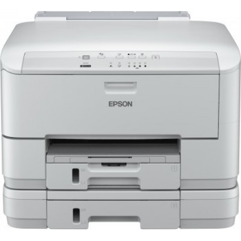 Epson - Monocromo - C11CC78301