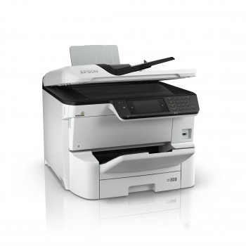Epson WorkForce Pro - Monocromo - C11CG69401