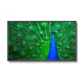 NEC MultiSync C651Q 165,1 cm (65") LED 4K Ultra HD Pantalla plana para señalización digital Negro 60004314