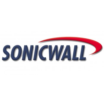 Silver 24x7 Support for NSA 4600 1Yr 01-SSC-4290