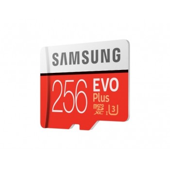 Samsung EVO Plus 2020 memoria flash 256 GB MicroSDXC Clase 10 UHS-I MB-MC256HA