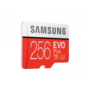 Samsung EVO Plus 2020 memoria flash 256 GB MicroSDXC Clase 10 UHS-I MB-MC256HA