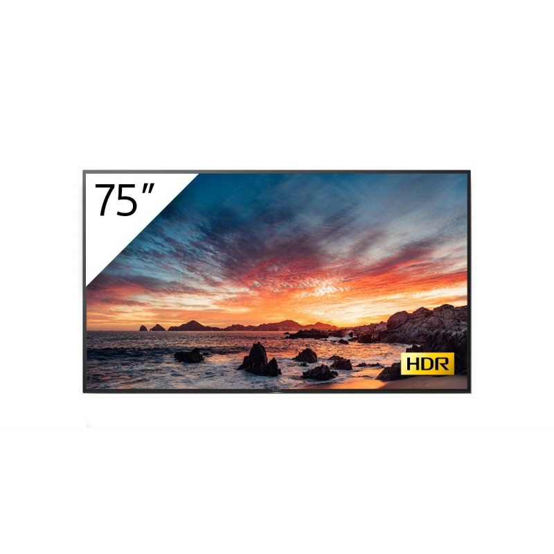 Sony FWD-75X80H T TV