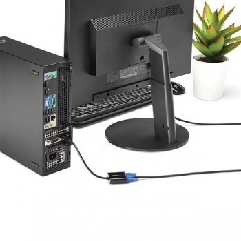 StarTech.com Adaptador DisplayPort a VGA - 1920x1200 - Paquete de 5 DP2VGA3X5