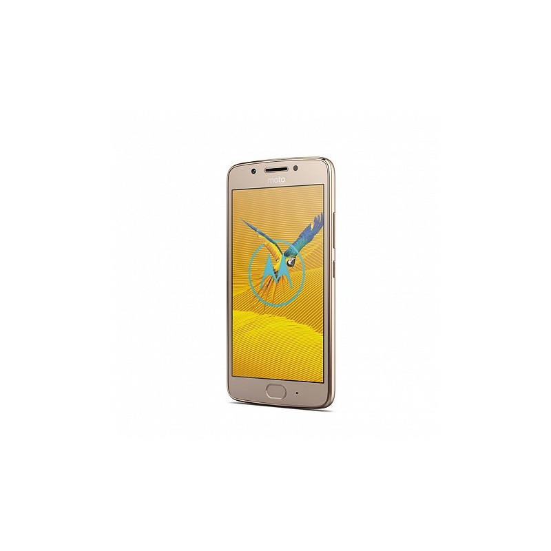 Motorola Moto G - 5,0 pulgadas - 16 GB - 3 GB - Oro PA610010ES