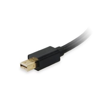 Equip 133433, Mini DisplayPort, DVI-I, Macho Hembra, Negro