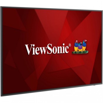 Viewsonic CDE6520 - 65" - LCD Negro